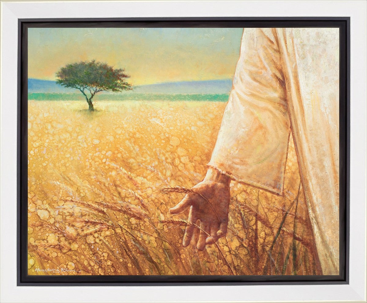 Wheat and Tares