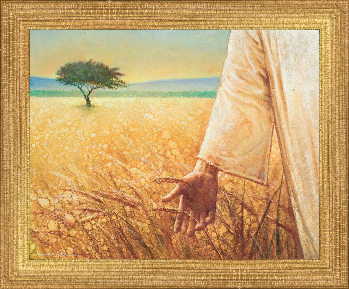 Wheat and Tares
