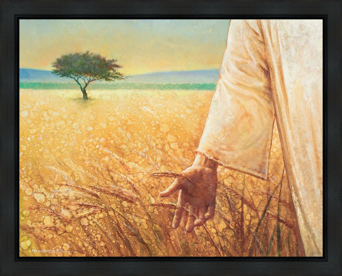 Wheat and Tares