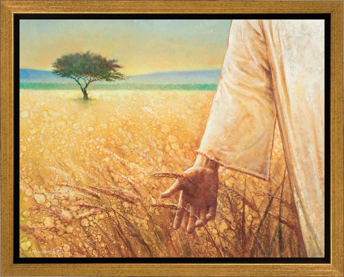 Wheat and Tares