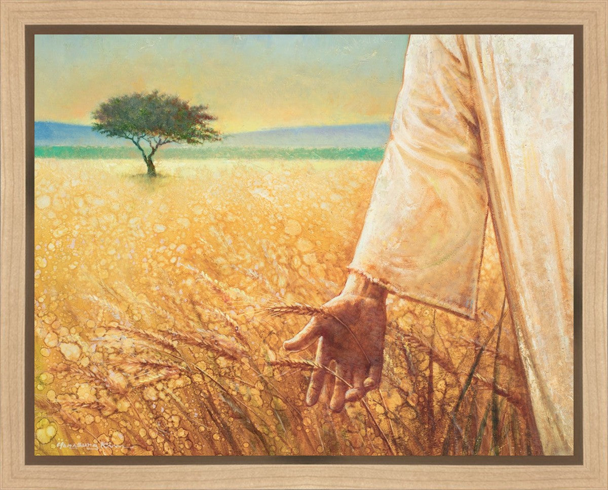Wheat and Tares