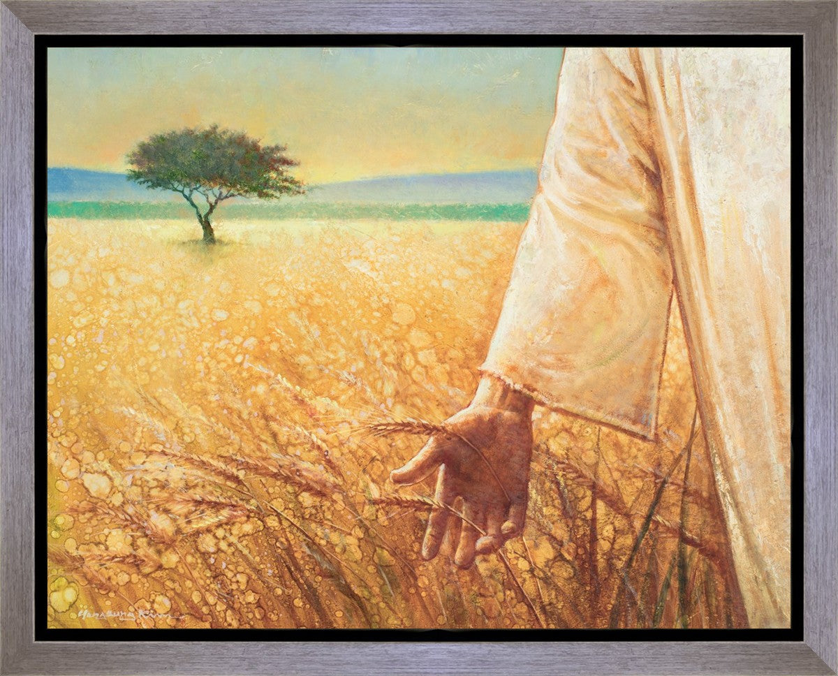 Wheat and Tares