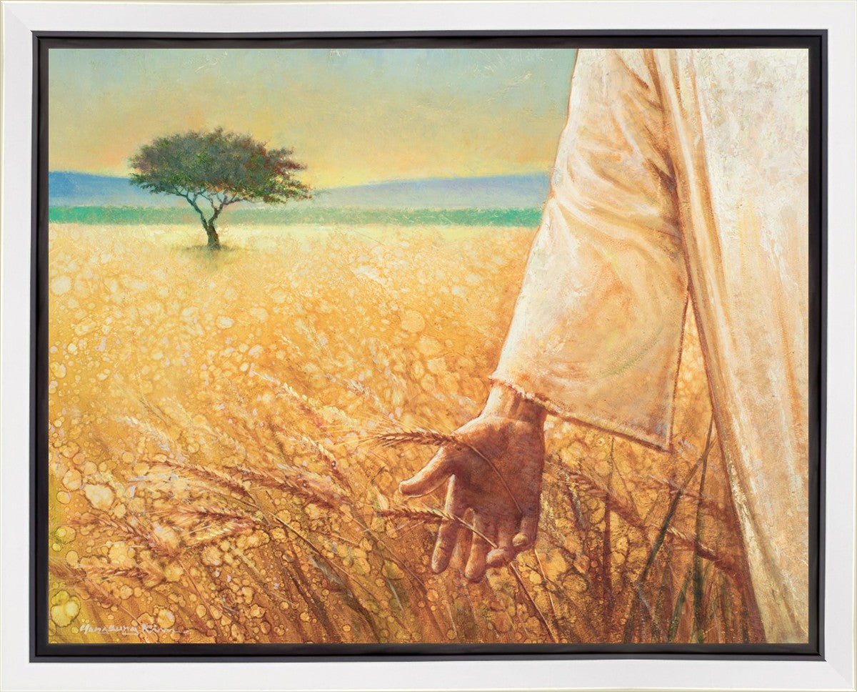 Wheat and Tares