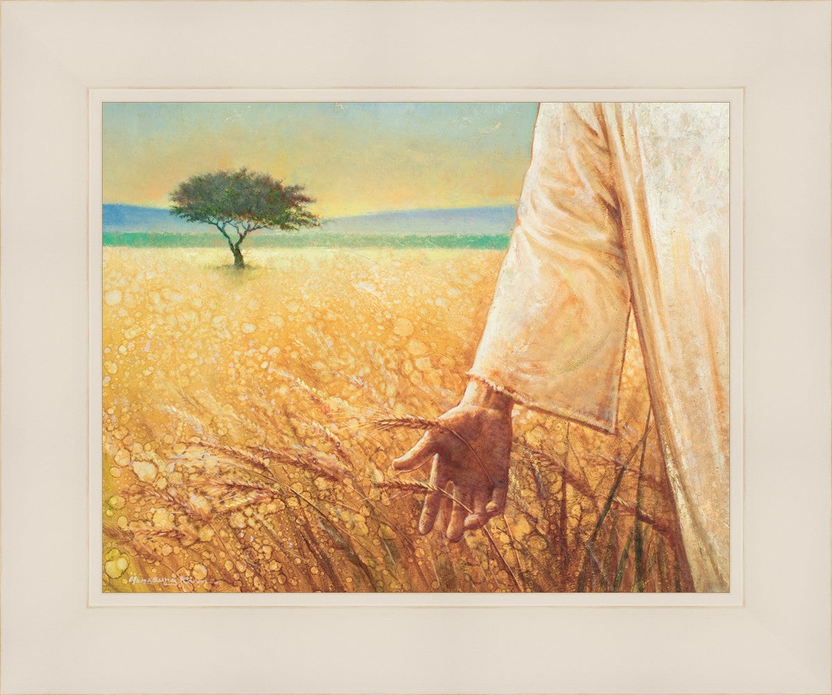 Wheat and Tares