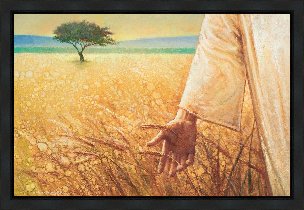 Wheat and Tares