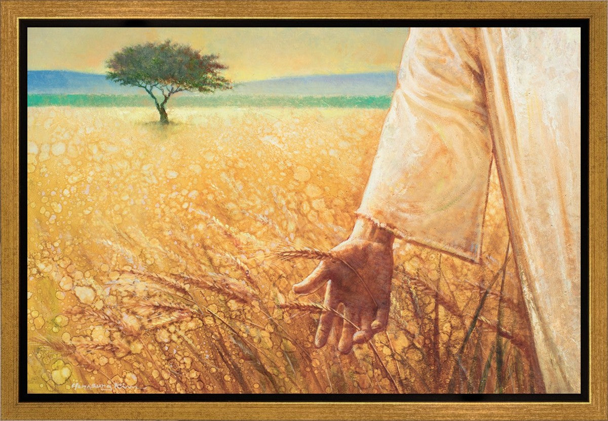 Wheat and Tares