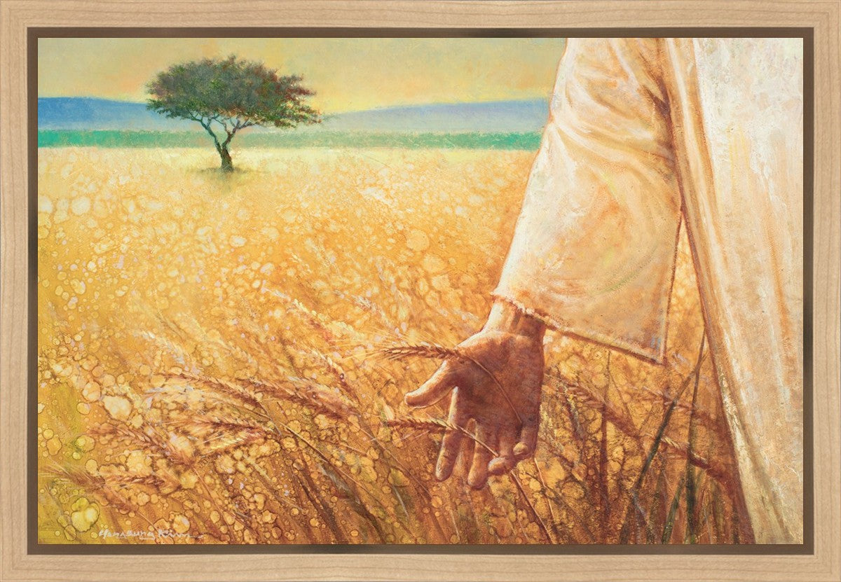 Wheat and Tares