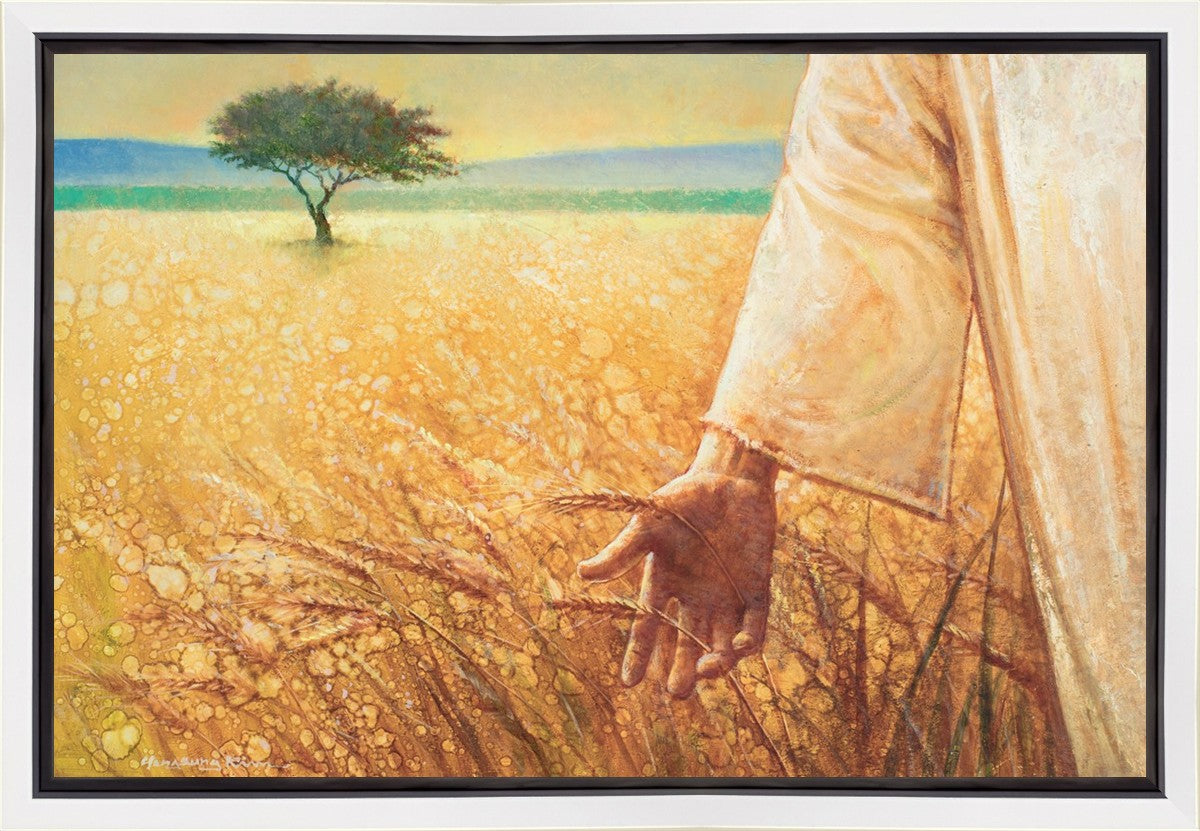 Wheat and Tares