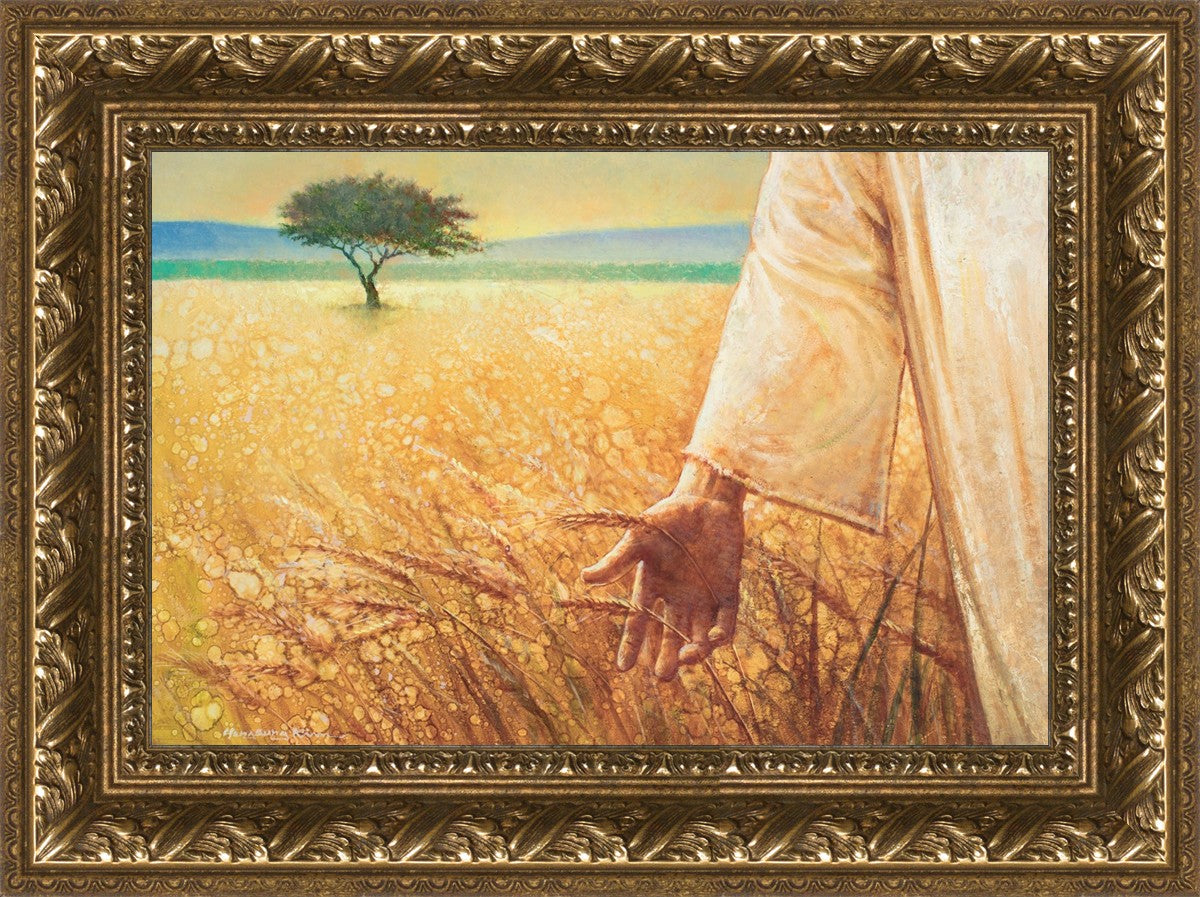 Wheat and Tares