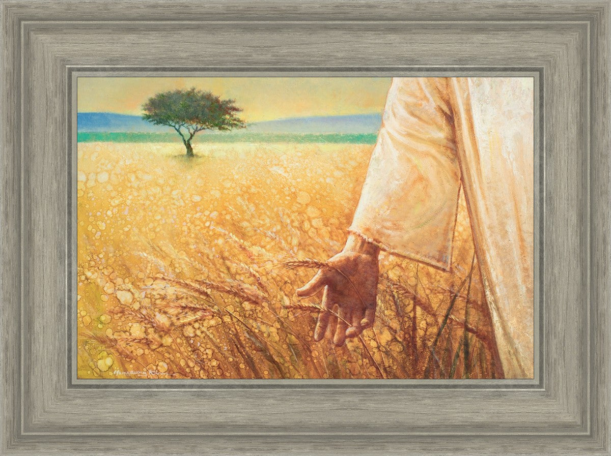 Wheat and Tares
