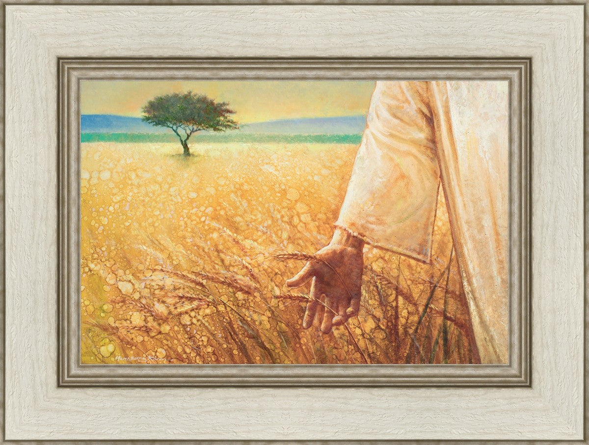 Wheat and Tares