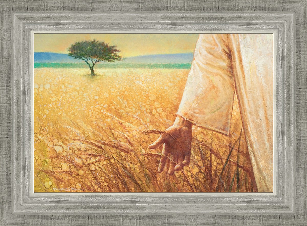 Wheat and Tares
