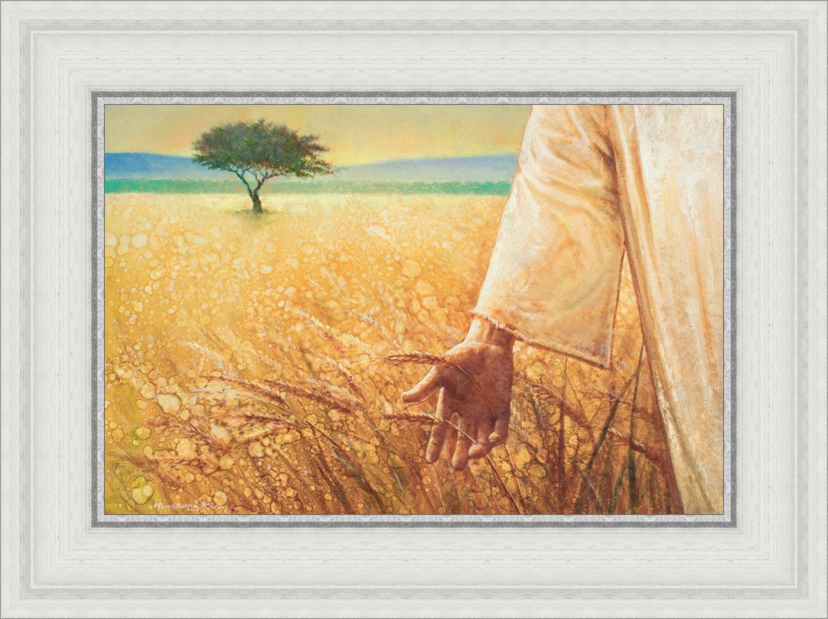 Wheat and Tares