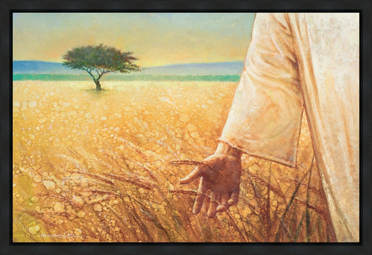 Wheat and Tares