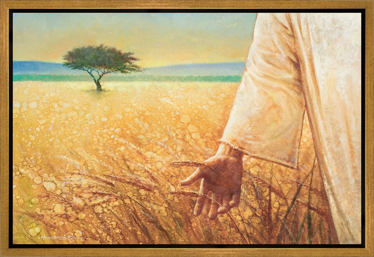 Wheat and Tares