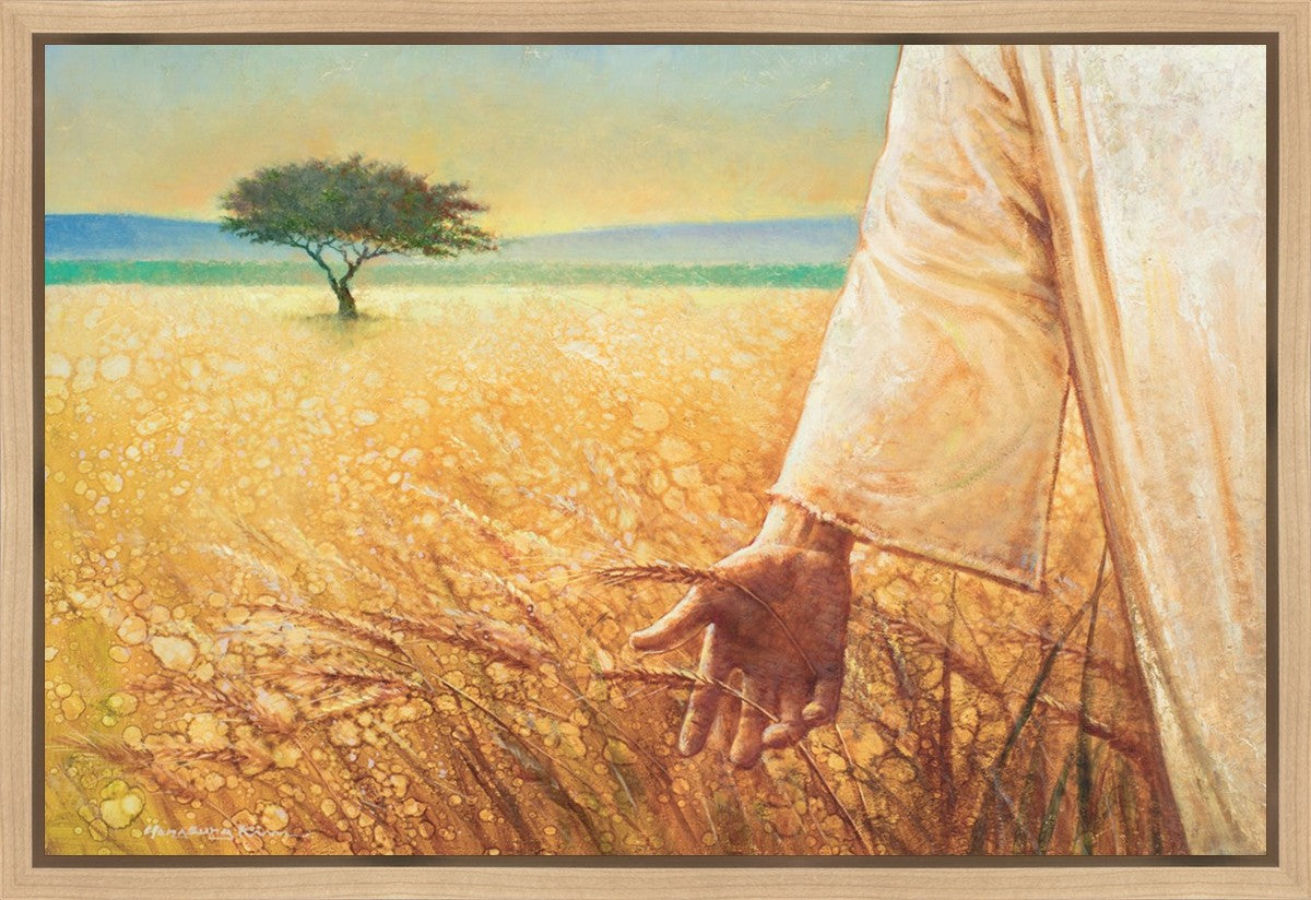 Wheat and Tares