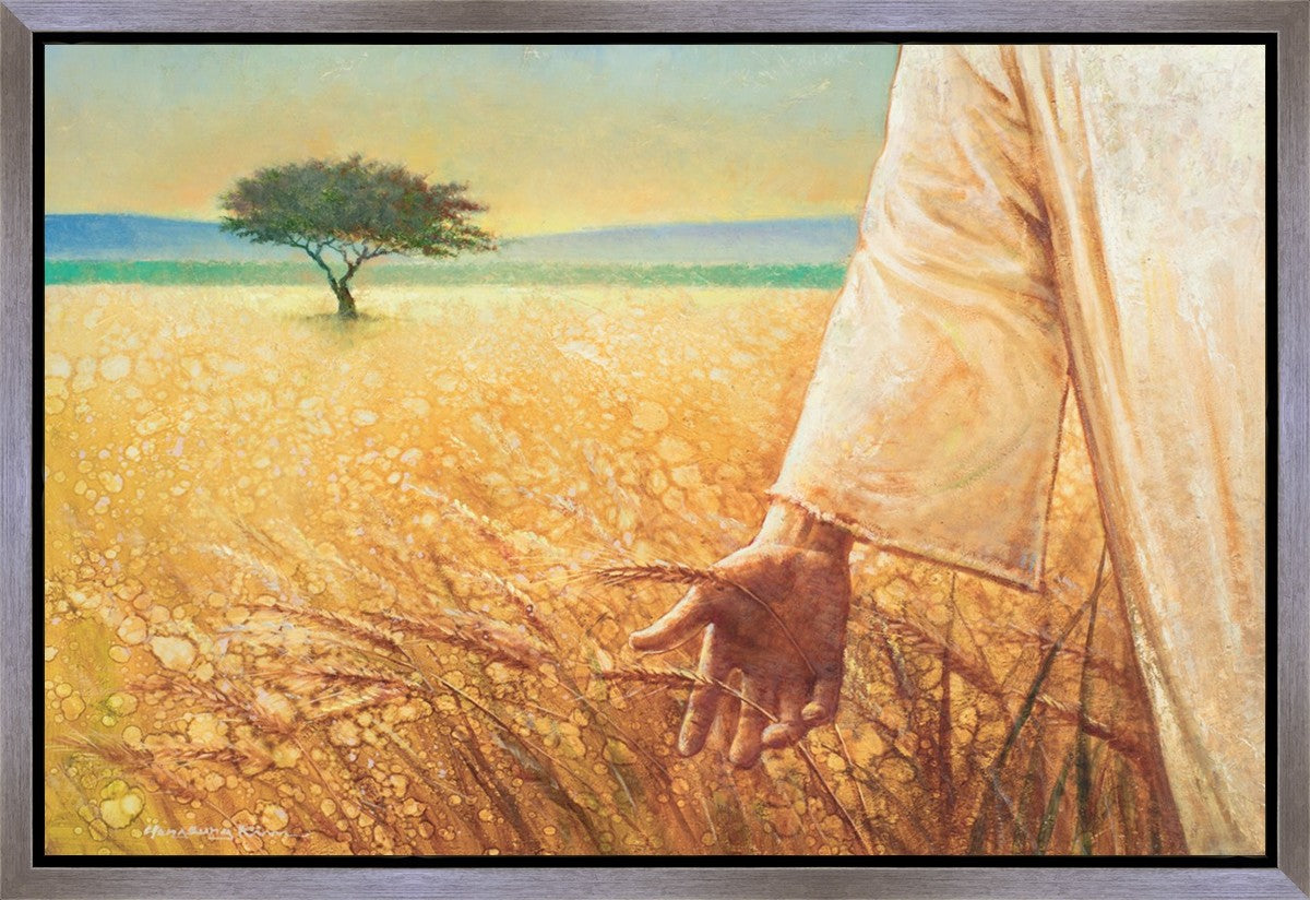 Wheat and Tares