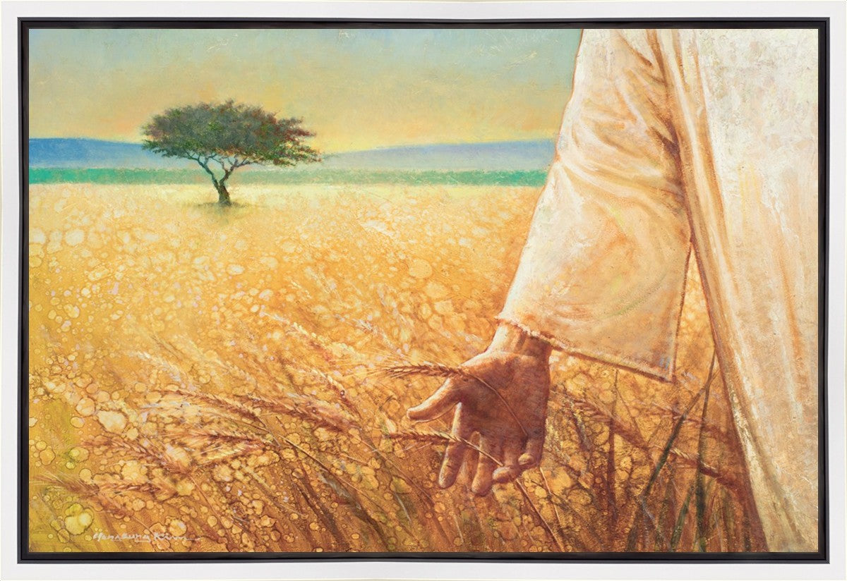 Wheat and Tares