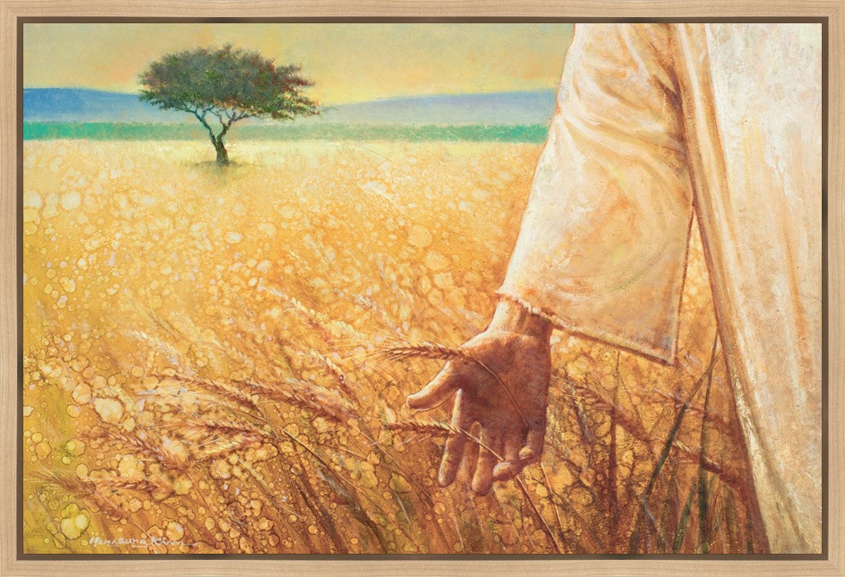 Wheat and Tares