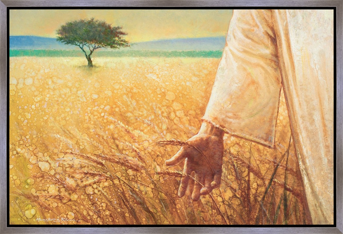 Wheat and Tares