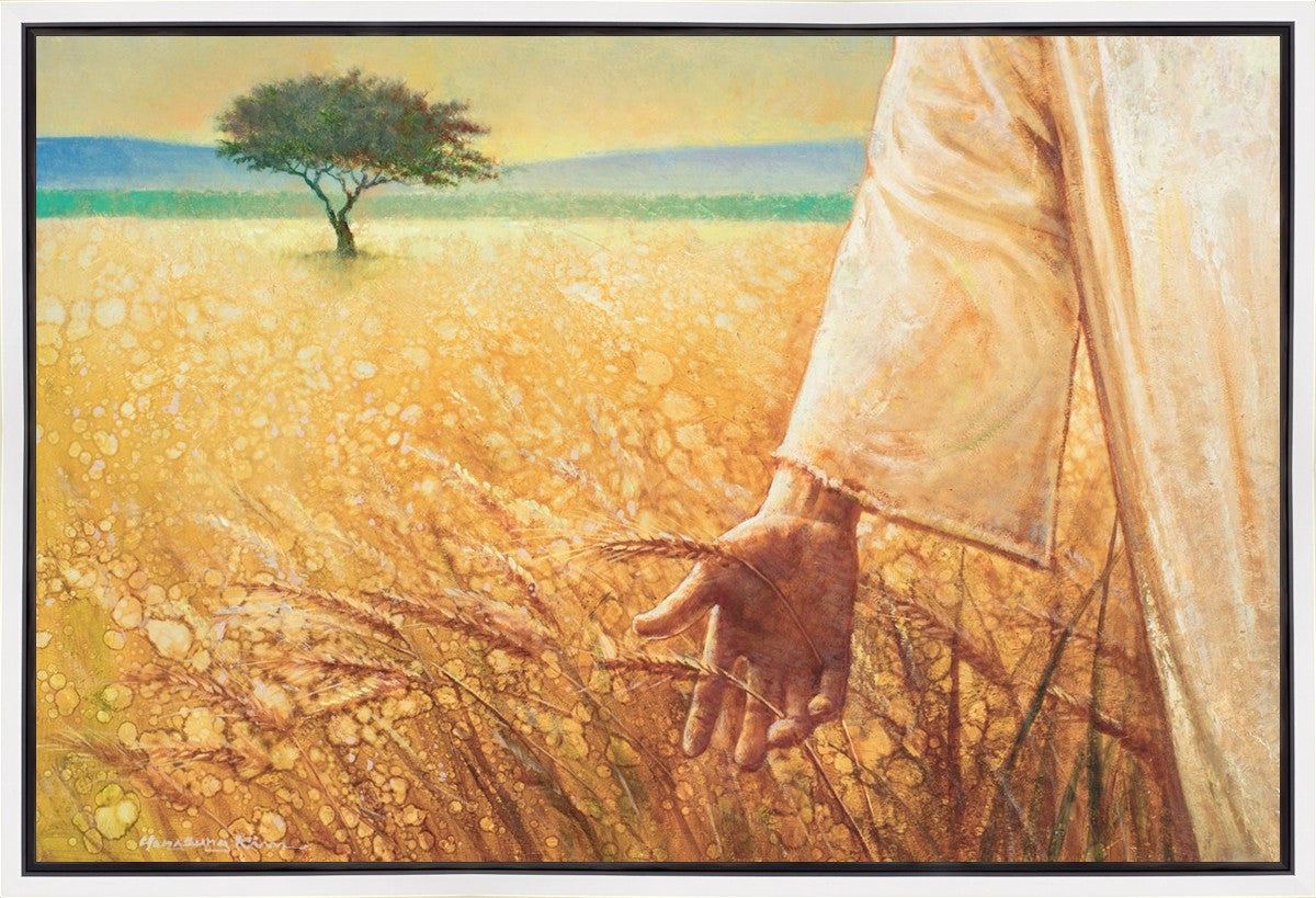 Wheat and Tares