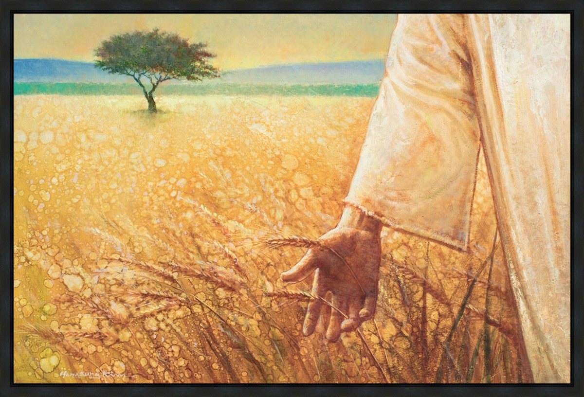 Wheat and Tares