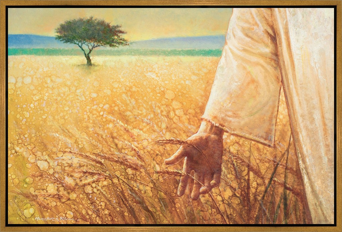 Wheat and Tares