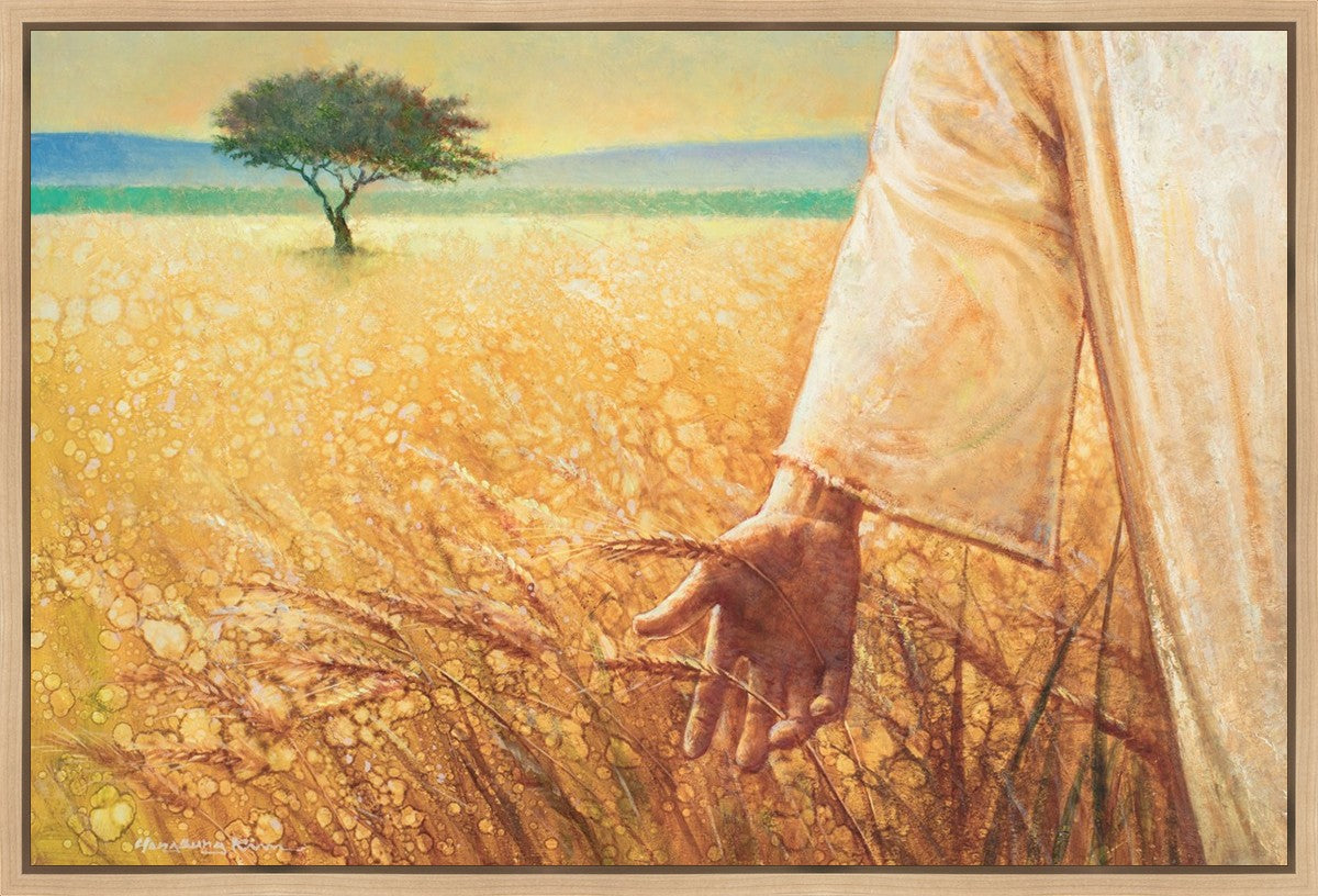 Wheat and Tares