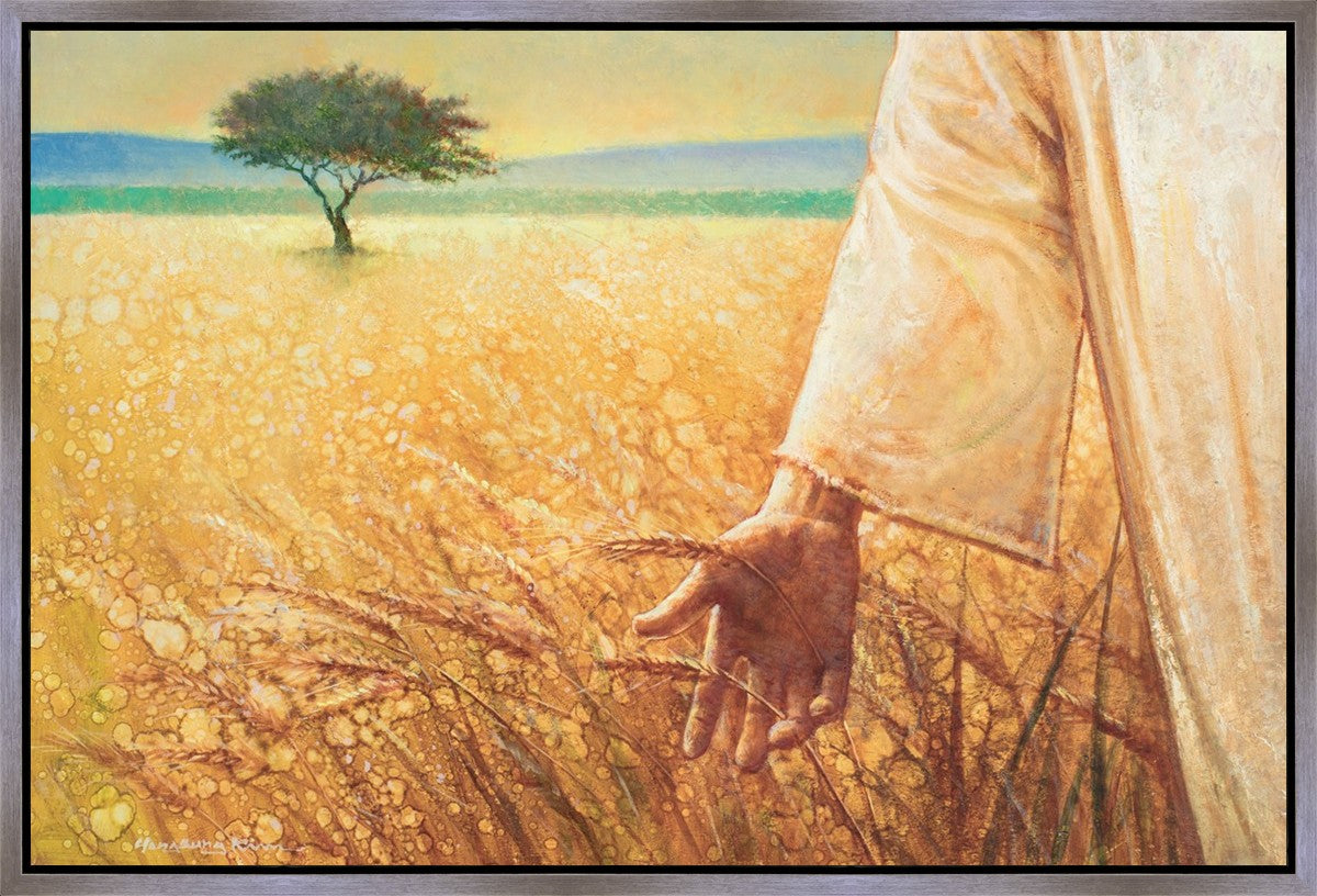 Wheat and Tares