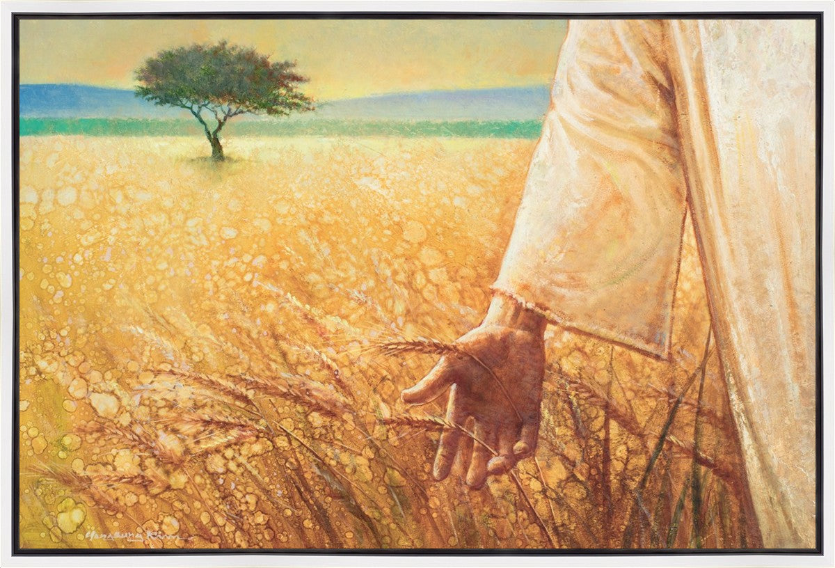 Wheat and Tares