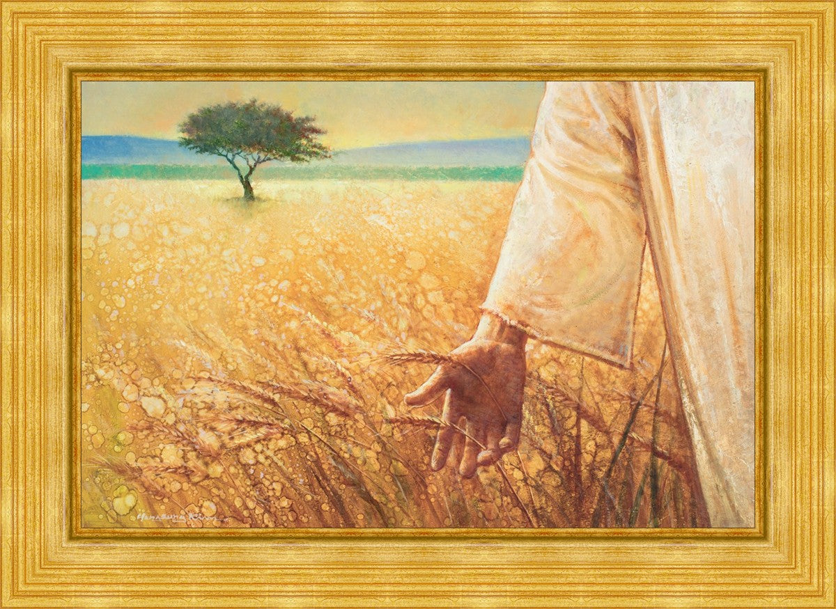 Wheat and Tares