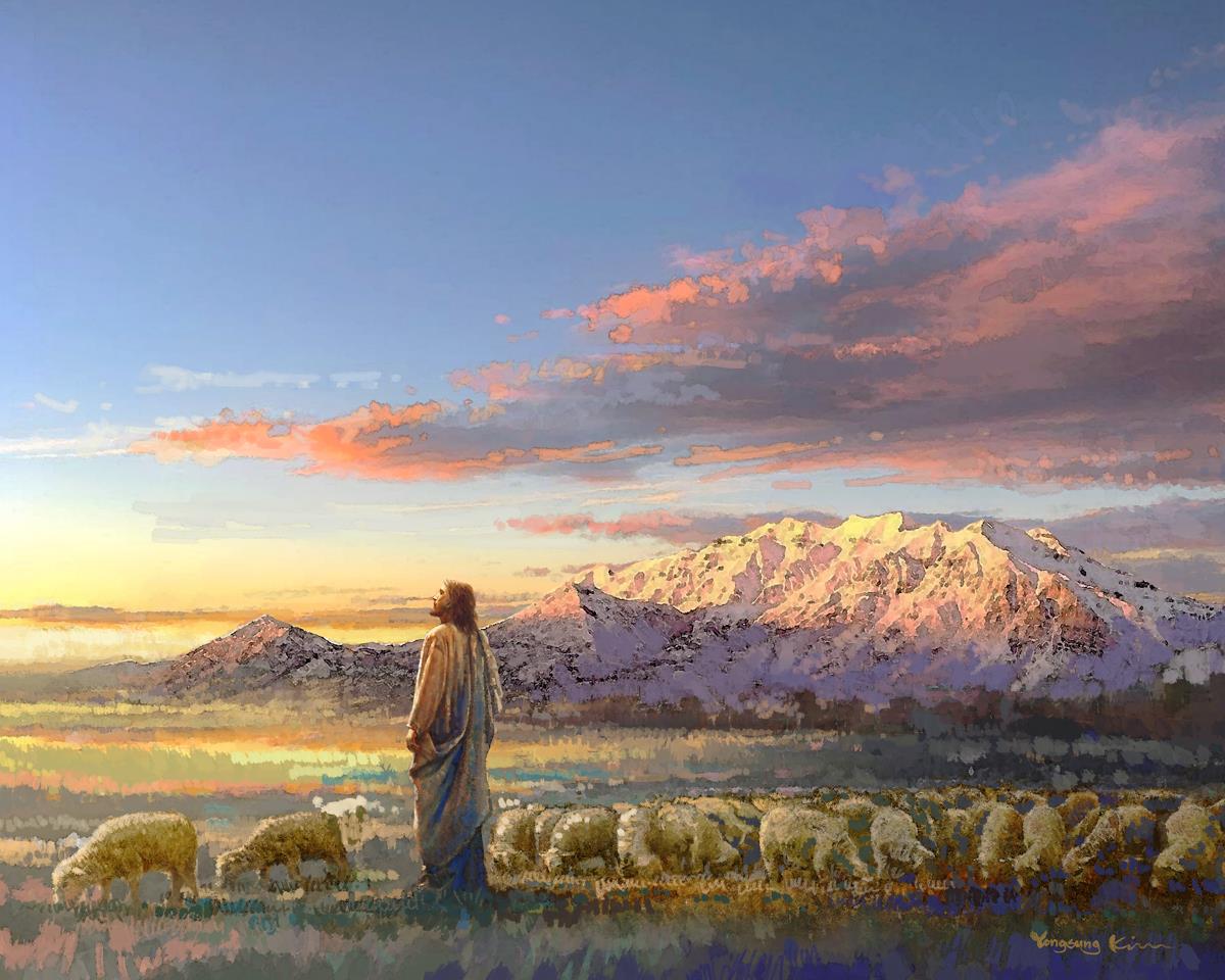 All His Majesty is a painting that depicts Jesus Christ with His flock of sheep near the mountains - Yongsung Kim | LDSArt.com | Christian Artwork