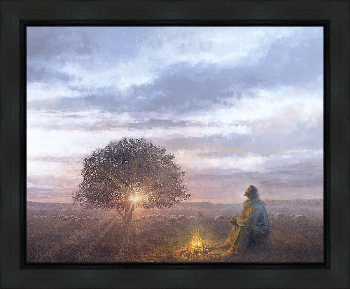 The Light of Life