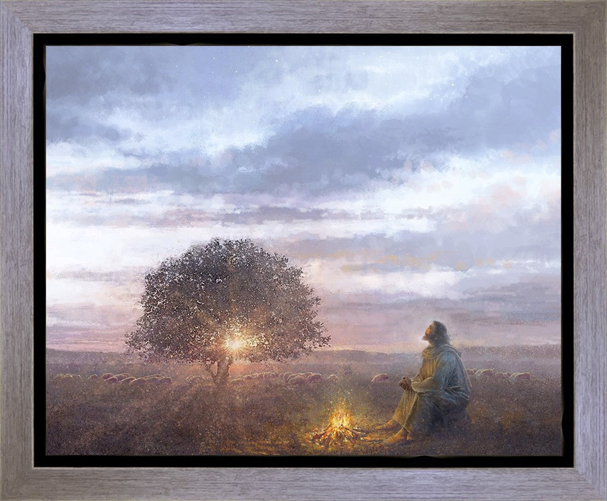 The Light of Life
