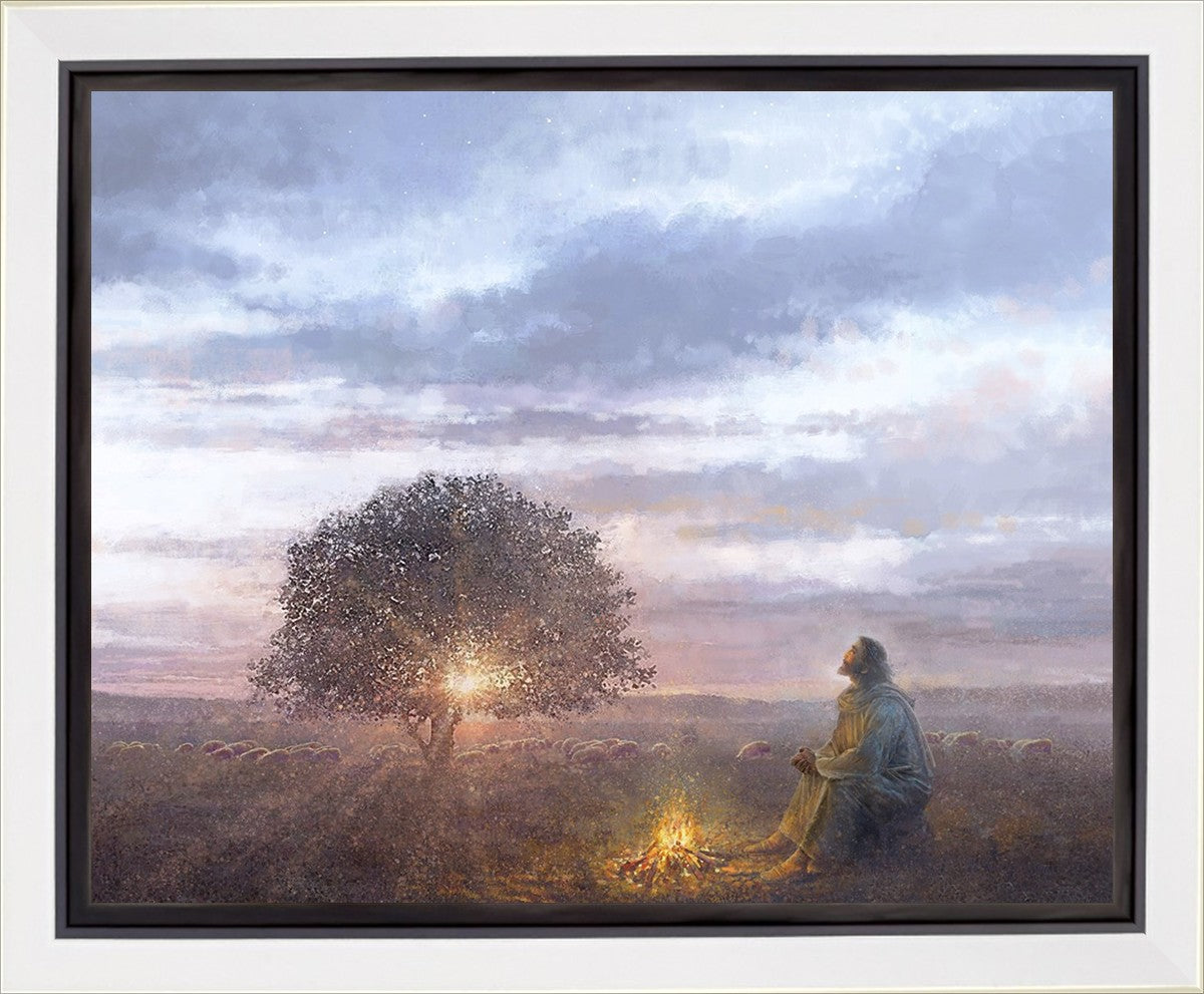 The Light of Life