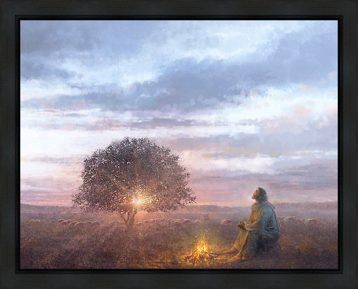 The Light of Life