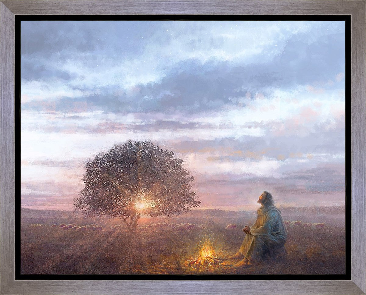 The Light of Life