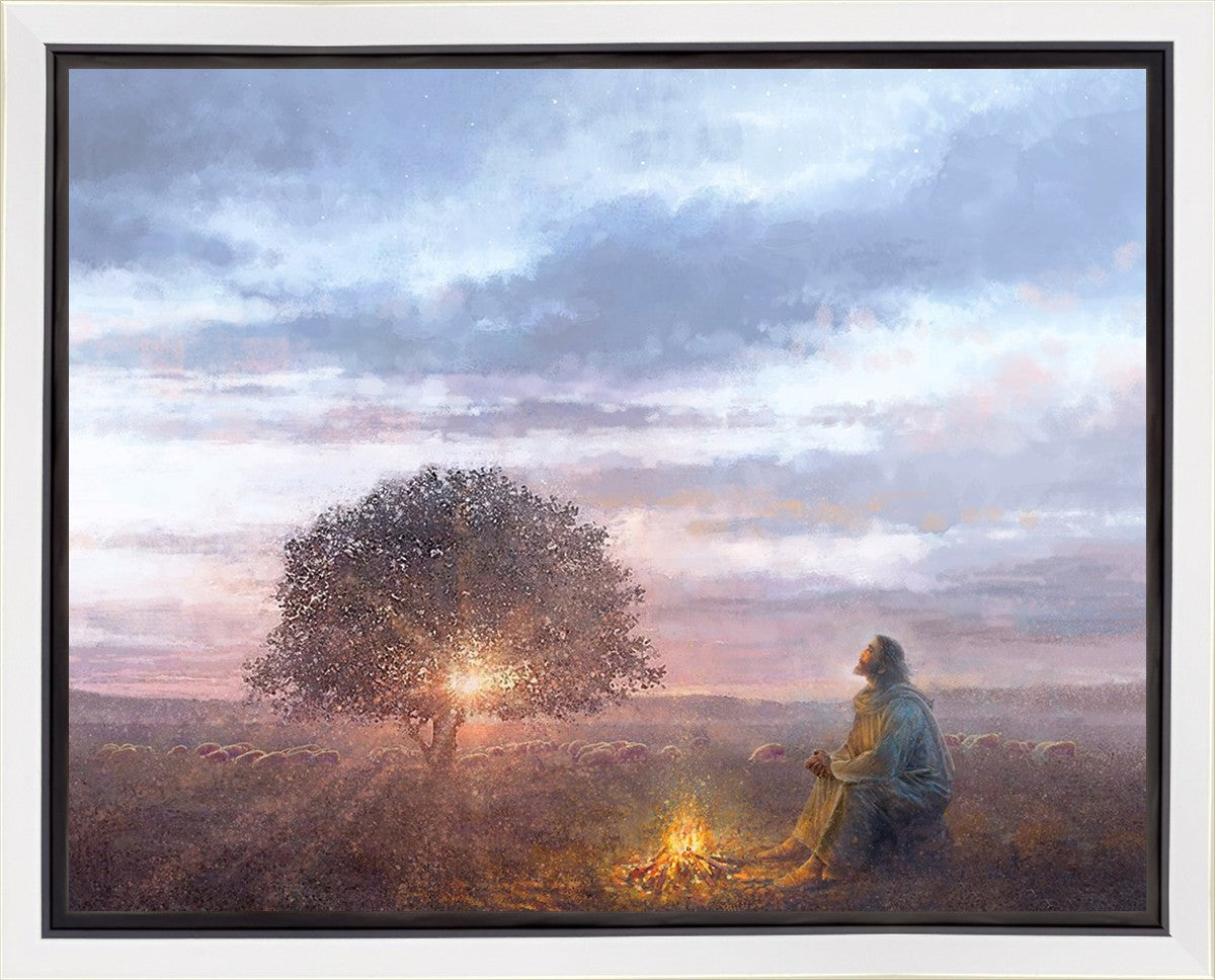 The Light of Life