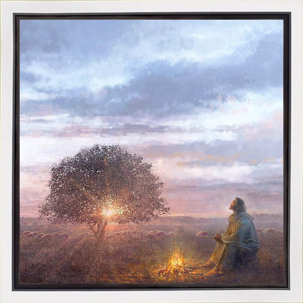 The Light of Life