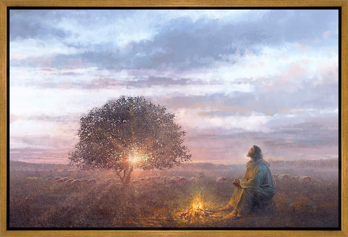 The Light of Life