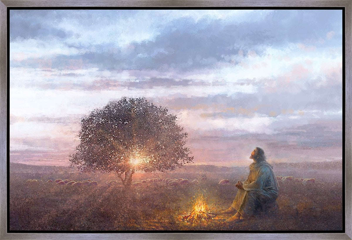 The Light of Life