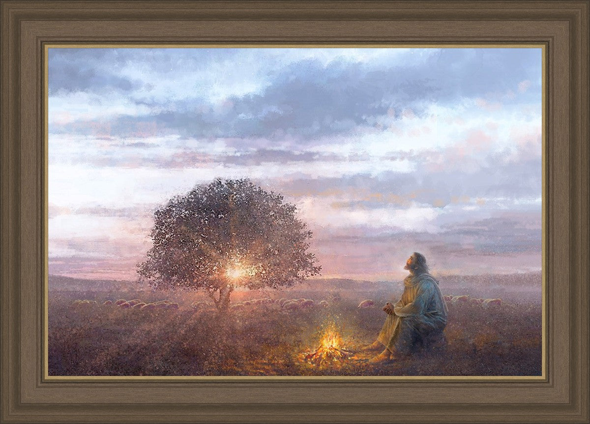 The Light of Life