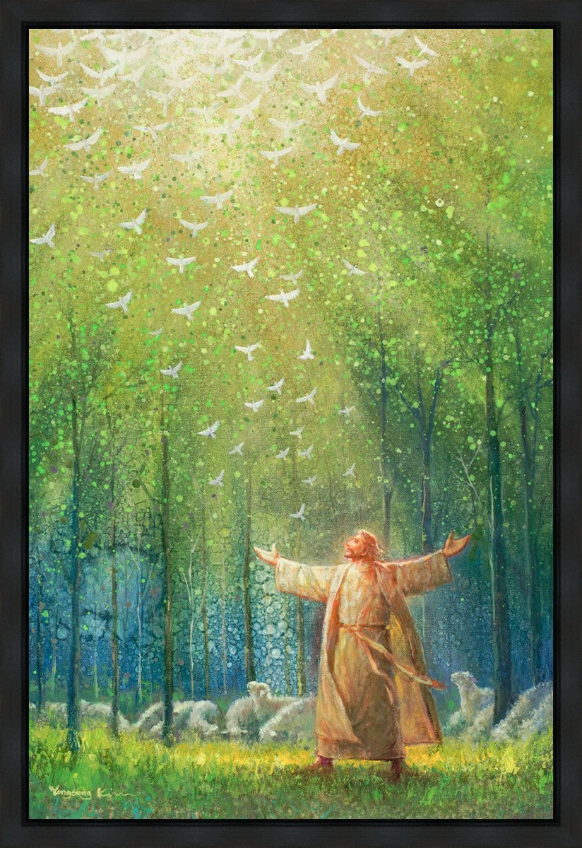 A New Light Shining