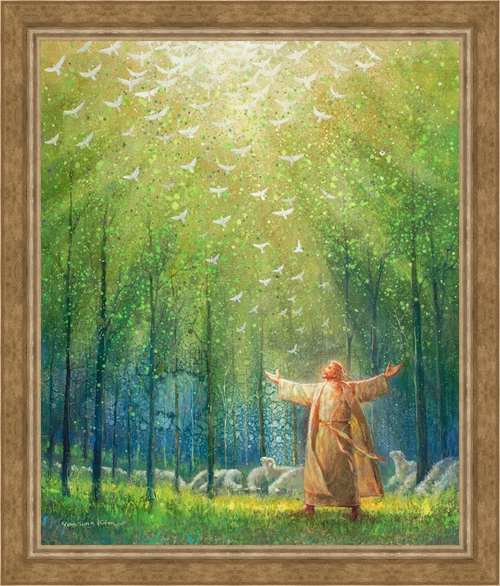 A New Light Shining
