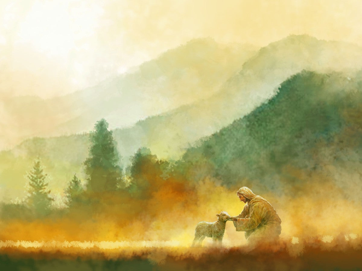 The Lost Sheep