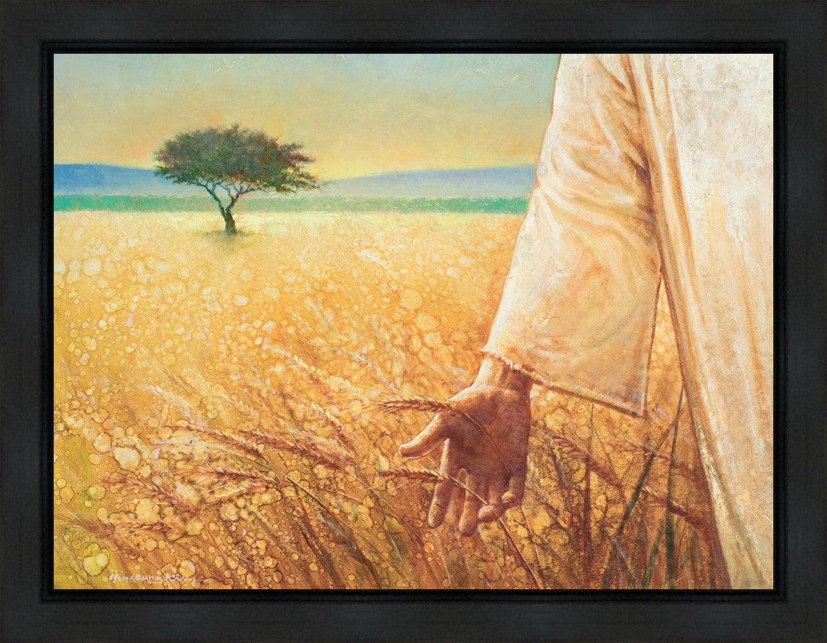 Wheat and Tares