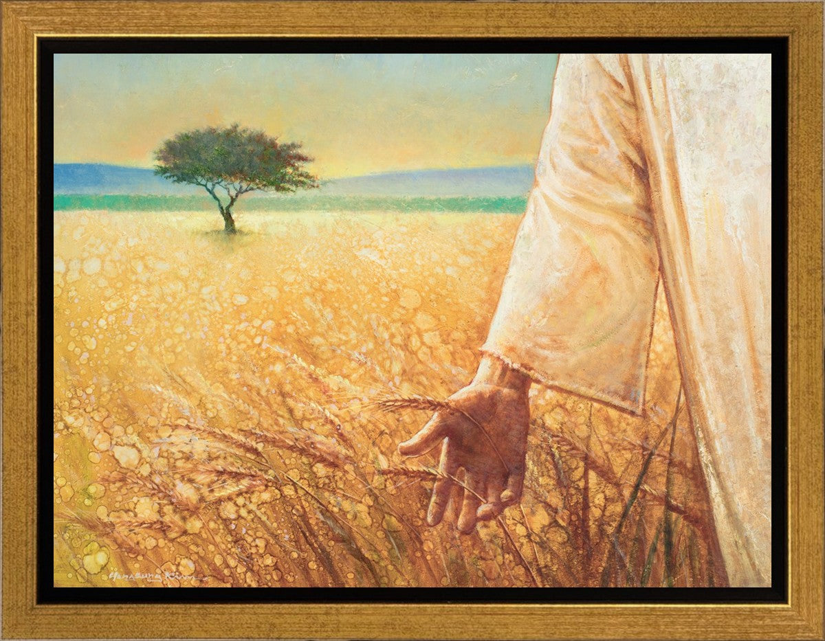 Wheat and Tares