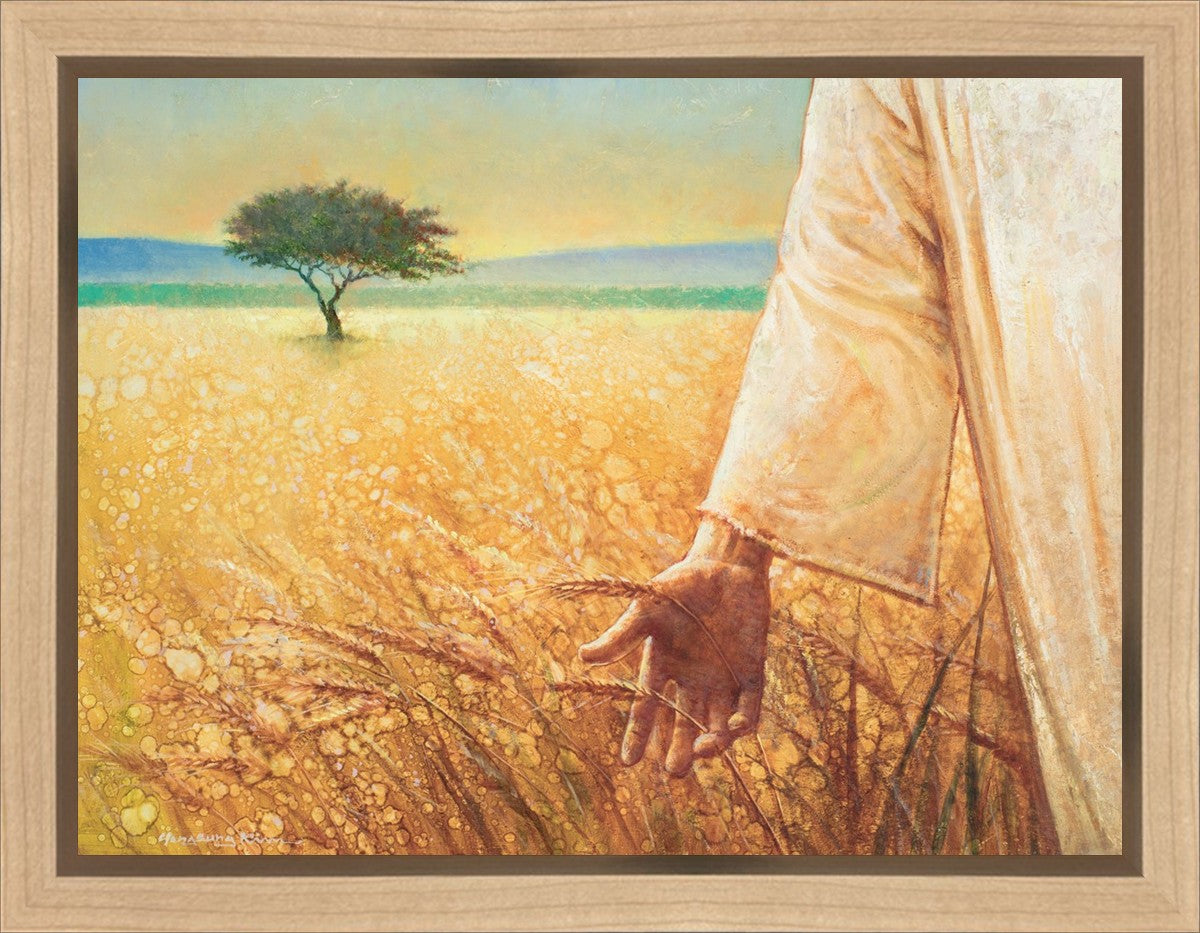 Wheat and Tares
