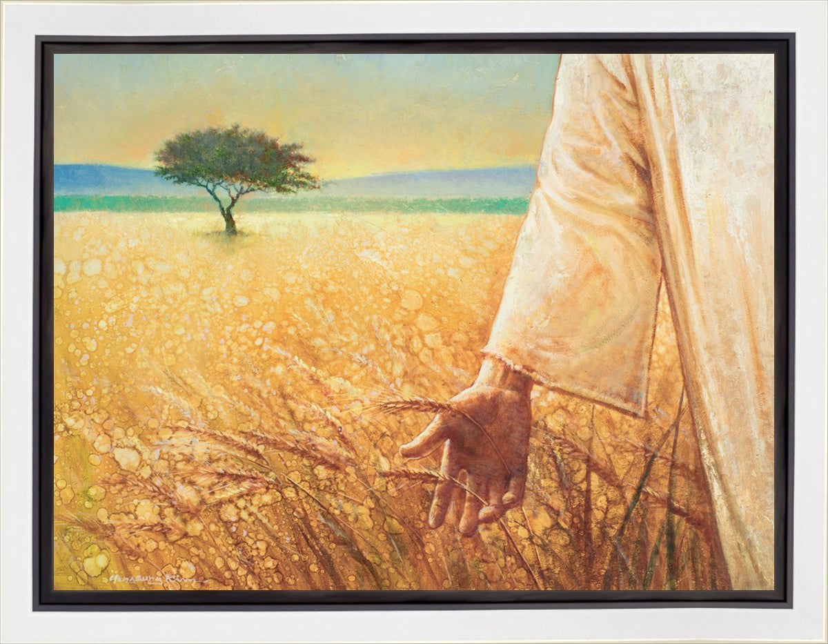 Wheat and Tares