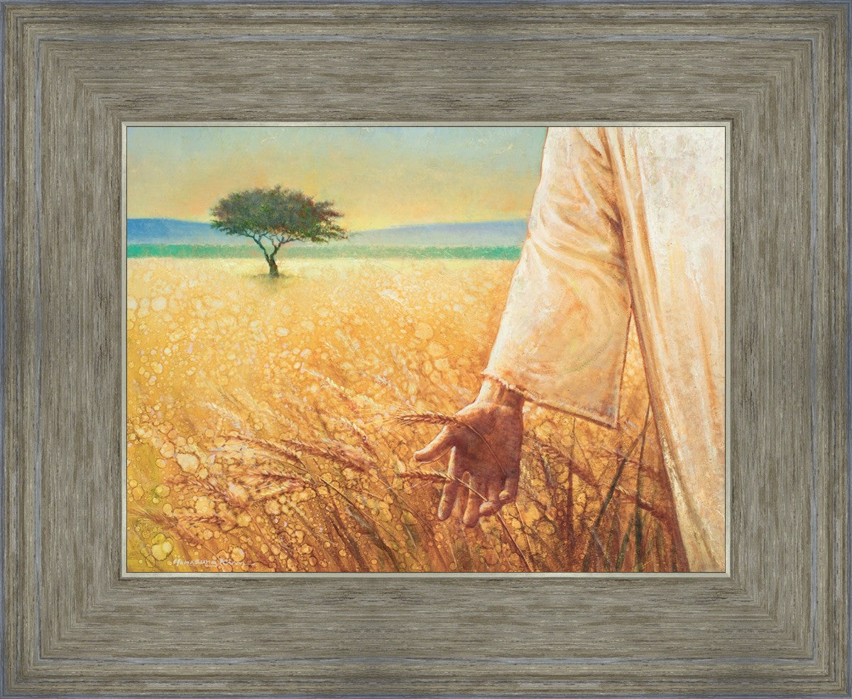 Wheat and Tares